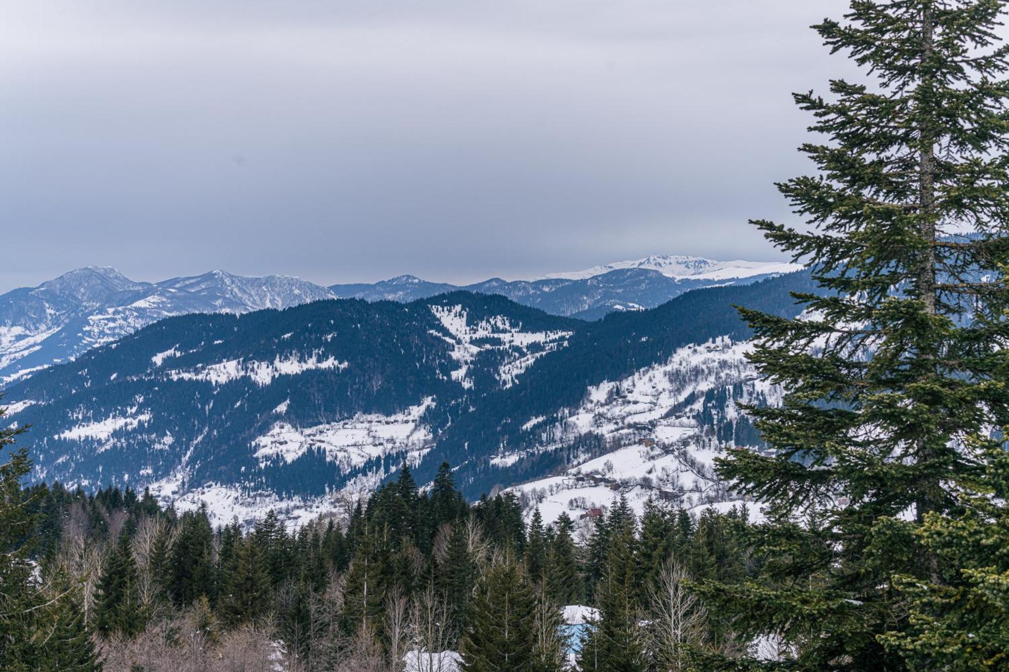Forest Villa Goderdzi Dış mekan fotoğraf