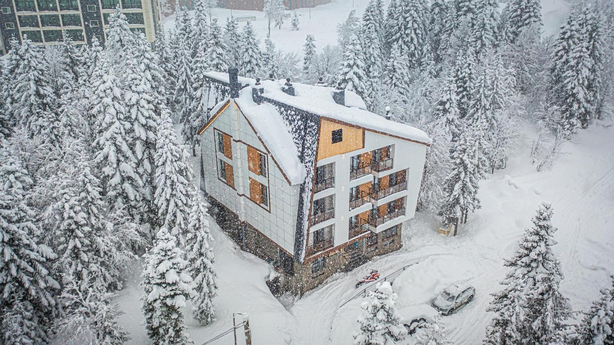 Forest Villa Goderdzi Dış mekan fotoğraf