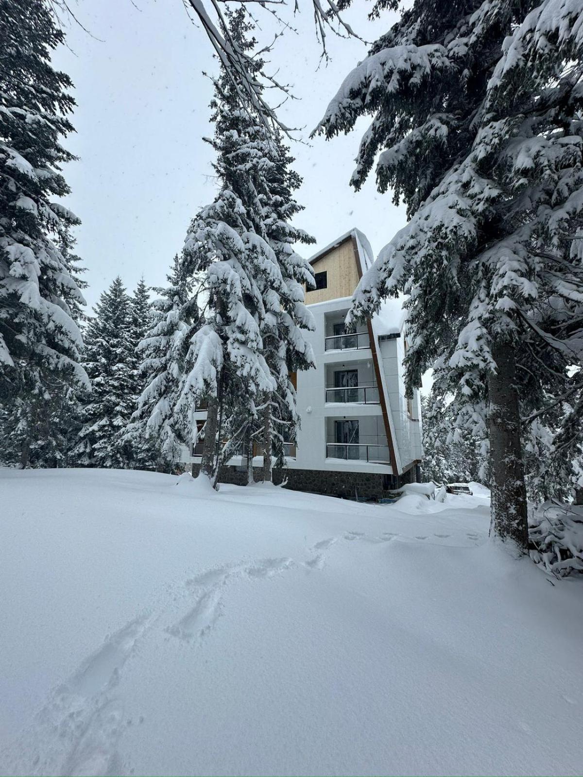 Forest Villa Goderdzi Dış mekan fotoğraf